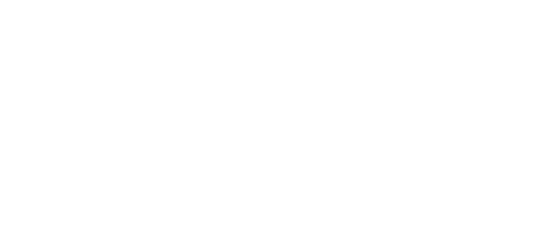 Offers - Pizza Shoppe