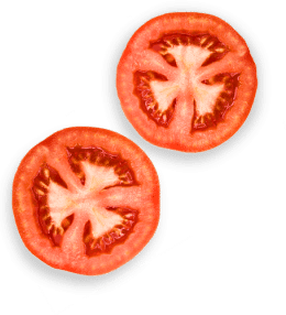 hamburger-7-vdf-12